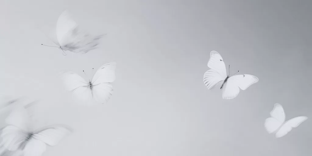 The People-Pleasing Phoenix